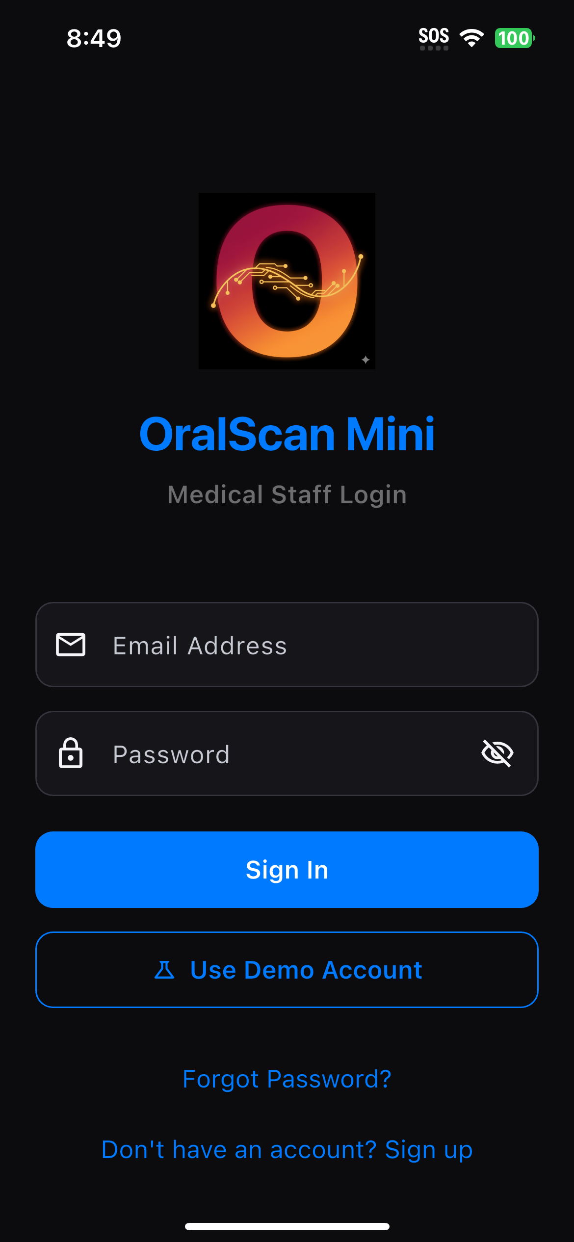 Professional Login Interface